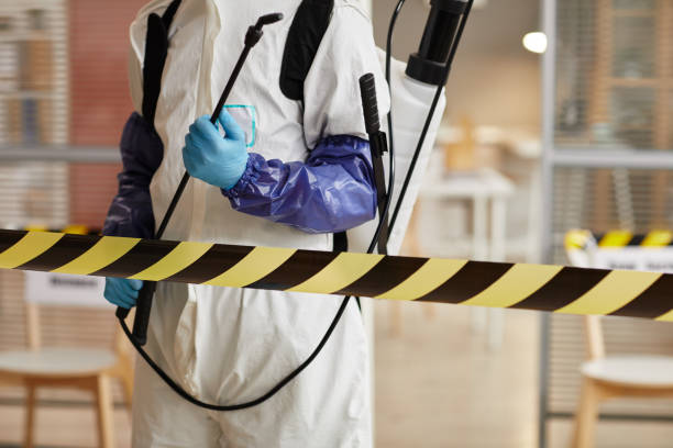 Professional Sewage Cleanup technician working in Pulaski, WI